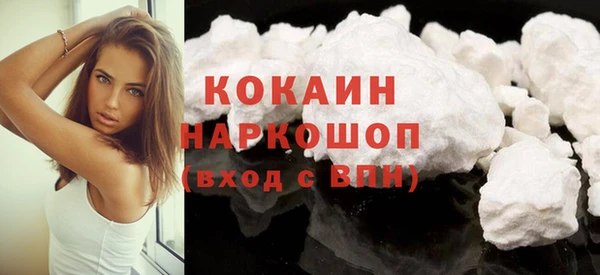 прущие грибы Балабаново