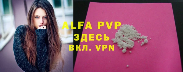 прущие грибы Балабаново