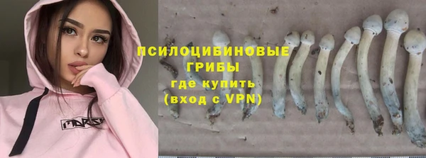 mdpv Баксан