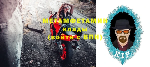 прущие грибы Балабаново