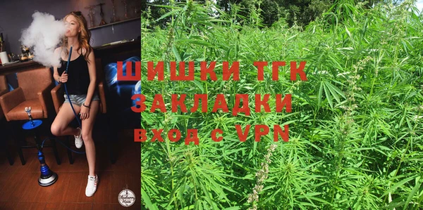 прущие грибы Балабаново