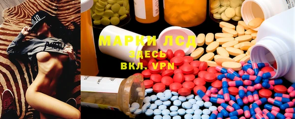 прущие грибы Балабаново