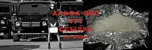 прущие грибы Балабаново